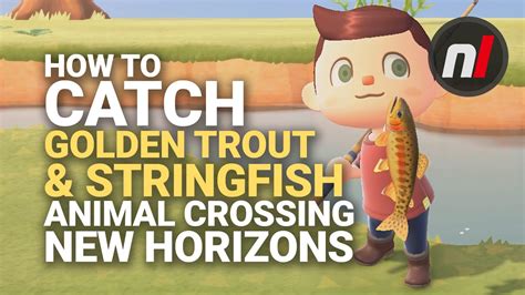 Animal Crossing New Horizons – How to Catch a Stringfish.